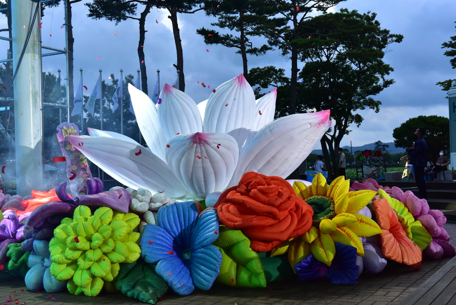 2022년 무안연꽃축제