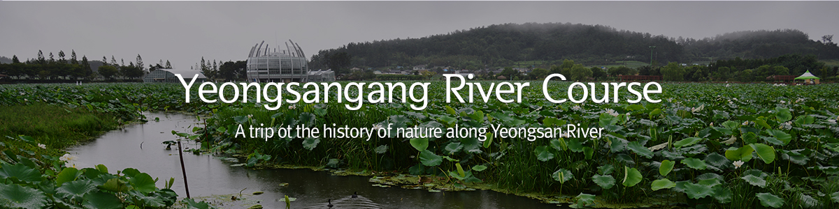 Yeongsangang River Course A trip ot the history of nature along Yeongsan River