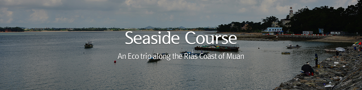 Seaside Course A trip long the the rias coast of Muan