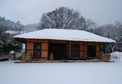 눈이 쌓여 있는 집