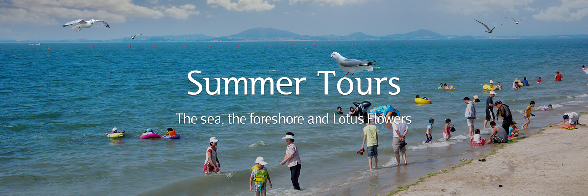 Summer Tours The sea, the foreshore and Lotus Flowers