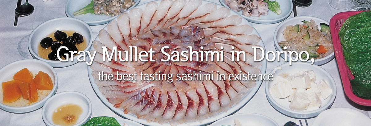 Gray Mullet Sashimi in Doripo